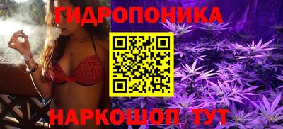 спиды Лесосибирск