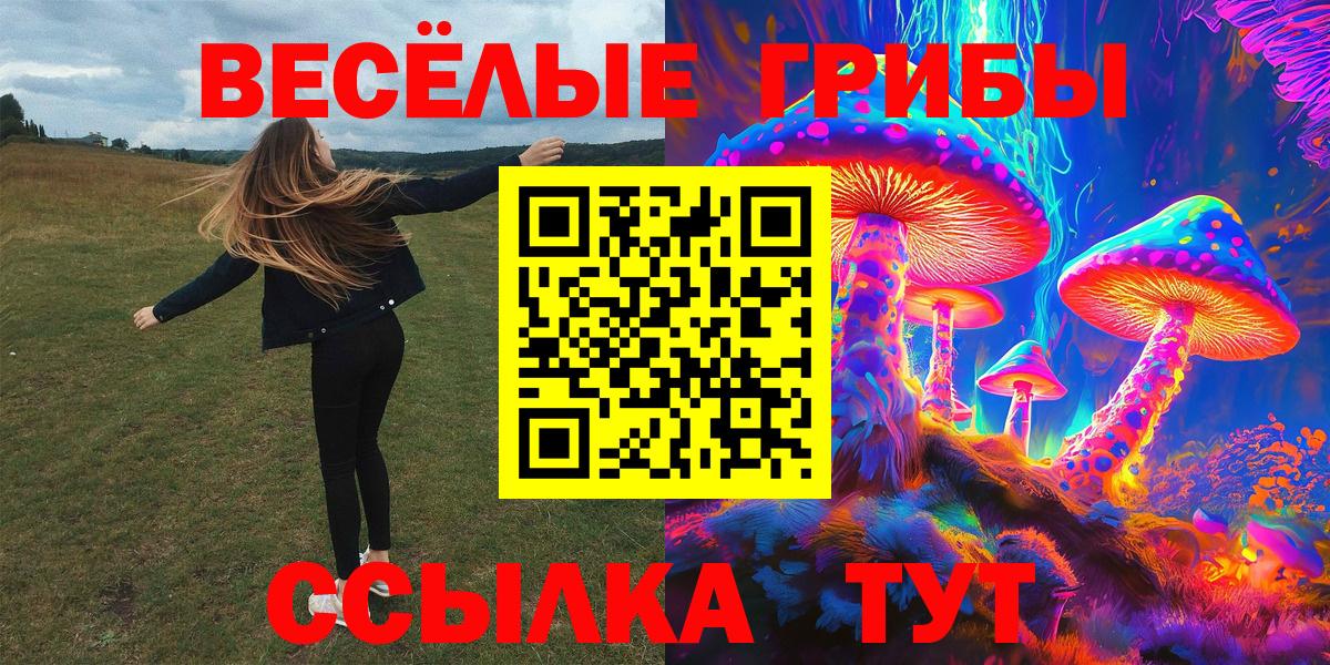 Псилоцибиновые грибы Psilocybe  Галлюциногенные грибы мухоморы  Вход с VPN  Дубна 
